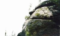 Entwicklung - Wachstum
