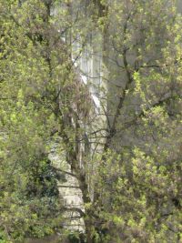 Fenster mit Aussicht