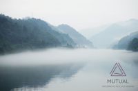 Mutual - Natur