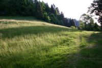 Stimmungen