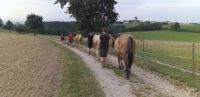 Gruppenangebote