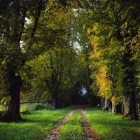 Der Weg