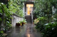Eingang Garten