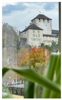 Die Natur nicht aus den Augen verlieren